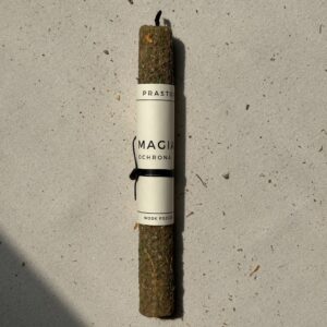 Świeca Programowa Ochrona