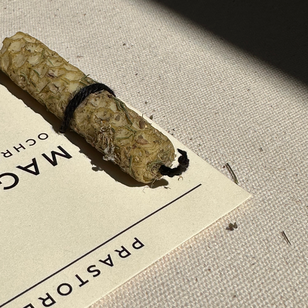 Świeca Programowa Ochrona miniwersja - obrazek 5