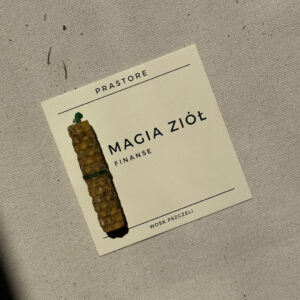 Świeca Programowa Finanse miniwersja