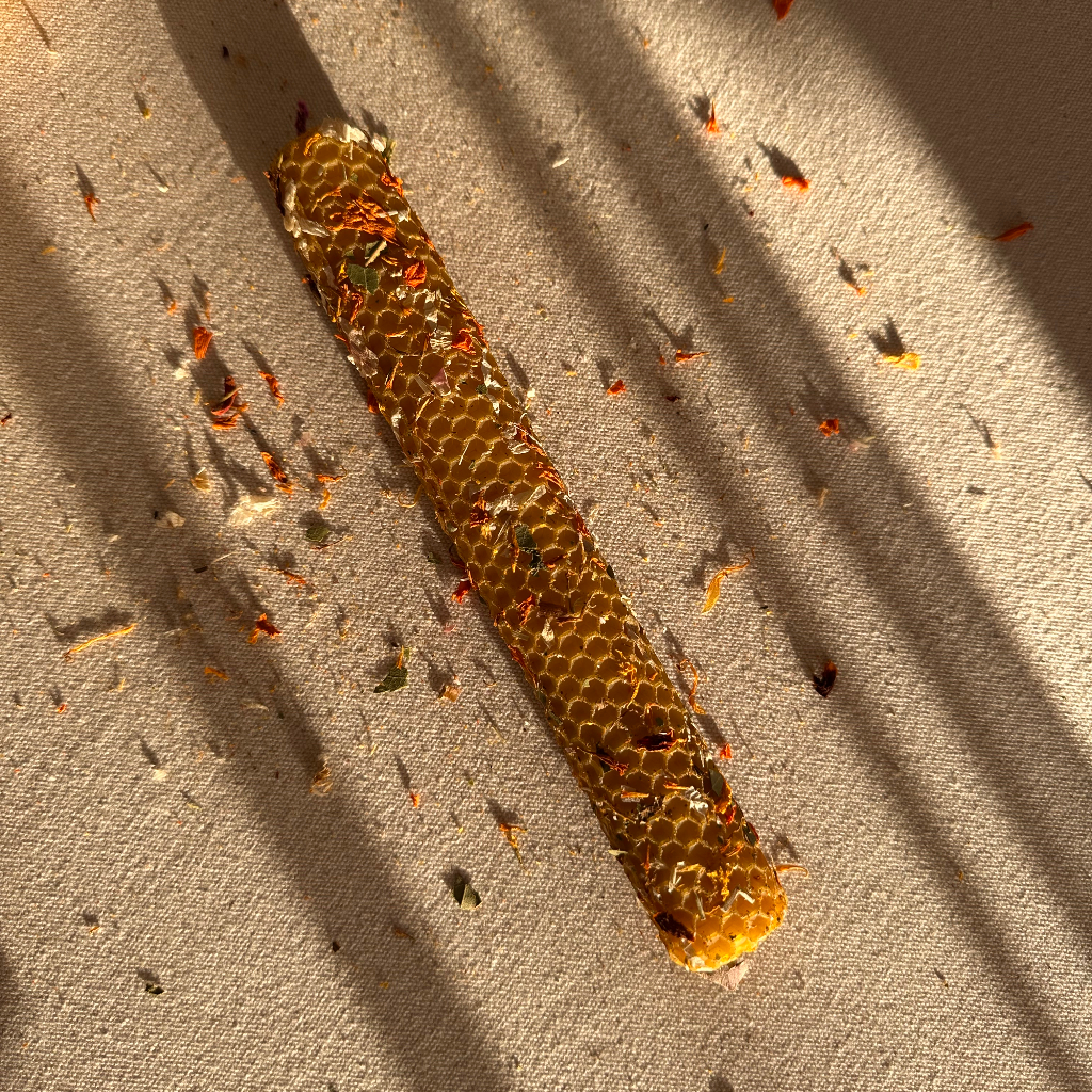 Świeca Programowa Sprawiedliwość - obrazek 2